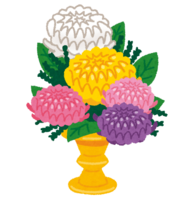 Higan-Obon chrysanthemum