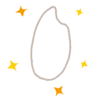 米粒