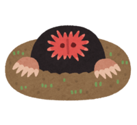 ホシバナモグラ