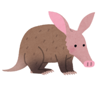 Aardvark