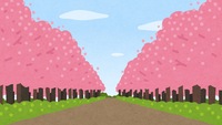 いろいろな並木道