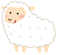 sheep