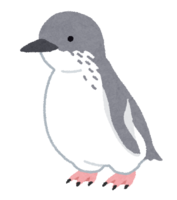 White-flippered penguins