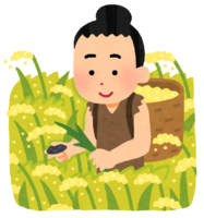 稲作