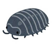 丹橡胶虫