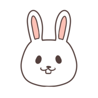 微笑的兔子