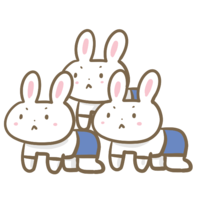 兔子组合体操