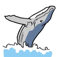 海をはねるクジラ