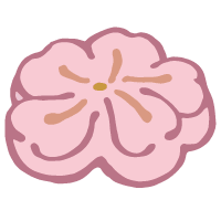 桜の形の和菓子