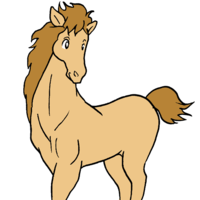 Horse facing right