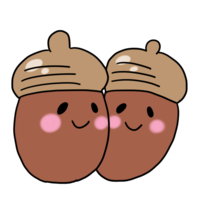 Two acorns