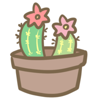 Cactus with flowers