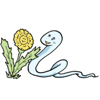 Snake and dandelion