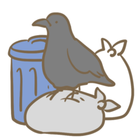 Crow and garbage