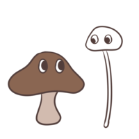 Mushrooms staring at each other