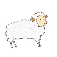 伫立的绵羊