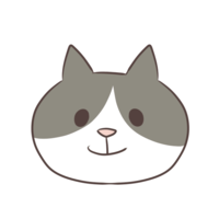 Hachiwa cat