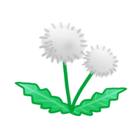 Dandelion (fluff)