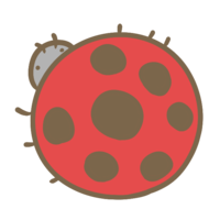 Coccinella septempunctata