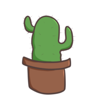 Long cactus