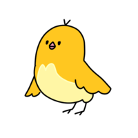 Yellow bird