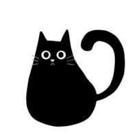 Plump black cat