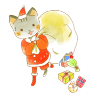 December Cat