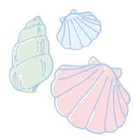 カラフルな貝殻