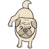 Pug