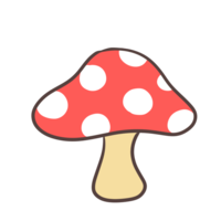 Mushroom