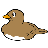 duck