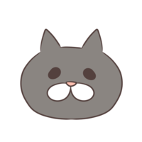 Gray cat