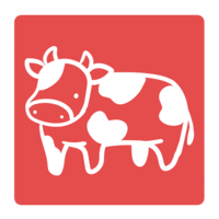 Beef stamp (square)