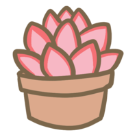 Succulent plant (8)