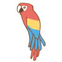 Parrot