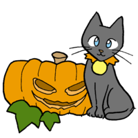 Pumpkin and cat