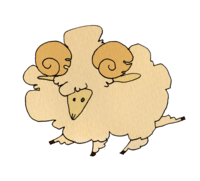 sheep