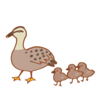 Parent and child duck