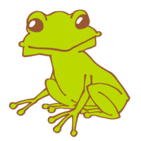 A little green frog