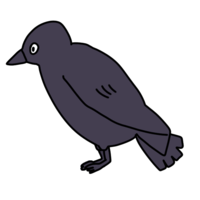 Crow