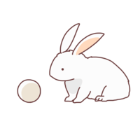 Rabbit and dumpling