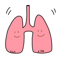 元気な肺たち