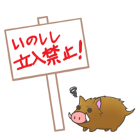 Signboard (no entry to wild boar)