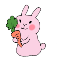 带胡萝卜的兔子