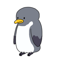Adult penguins