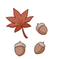 Maple and acorn