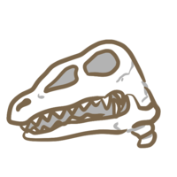 恐龙头骨(1)
