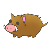 Wild boar