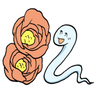 Snake and camellia