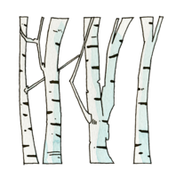 Birch forest